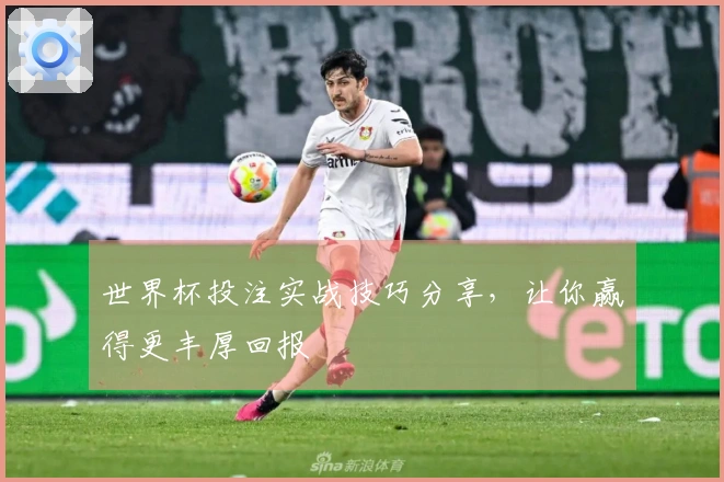 世界杯投注实战技巧分享，让你赢得更丰厚回报