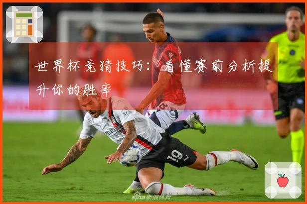 世界杯竞猜技巧：看懂赛前分析提升你的胜率
