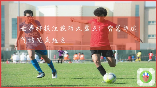 世界杯投注技巧大盘点：智慧与运气的完美结合
