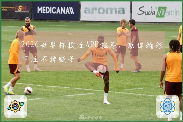 2026世界杯投注APP推荐，助你精彩下注不掉链子