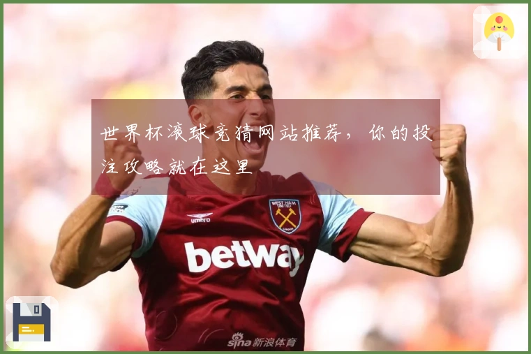 世界杯滚球竞猜网站推荐，你的投注攻略就在这里