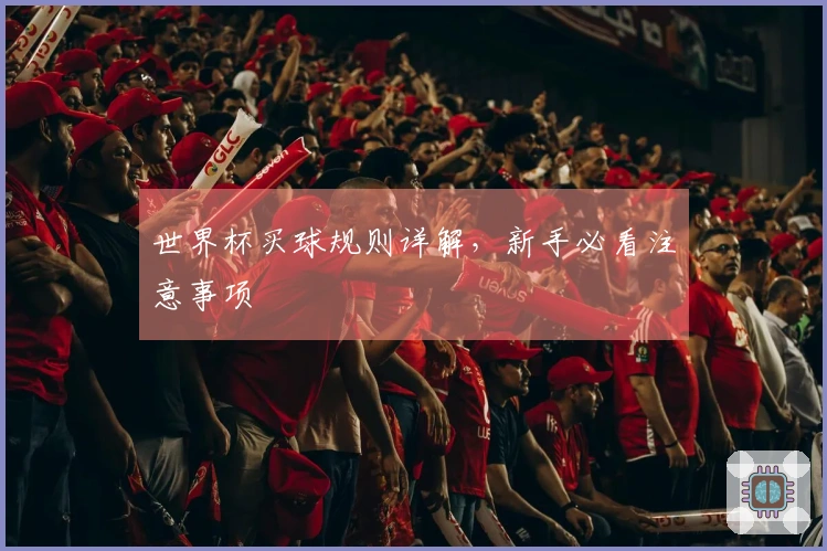 世界杯买球规则详解，新手必看注意事项