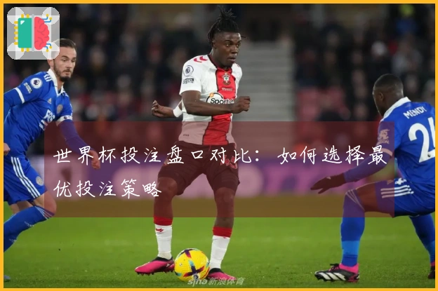 世界杯投注盘口对比：如何选择最优投注策略