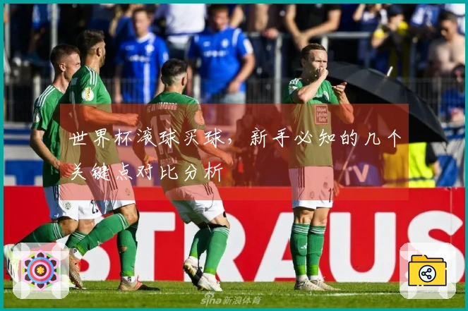 世界杯滚球买球，新手必知的几个关键点对比分析