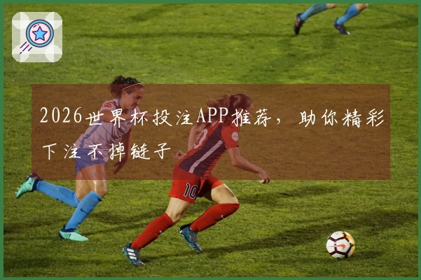 2026世界杯投注APP推荐，助你精彩下注不掉链子