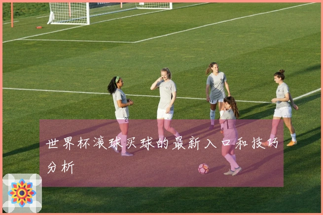 世界杯滚球买球的最新入口和技巧分析