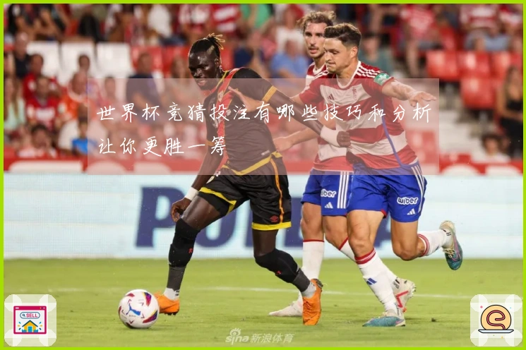 世界杯竞猜投注有哪些技巧和分析让你更胜一筹