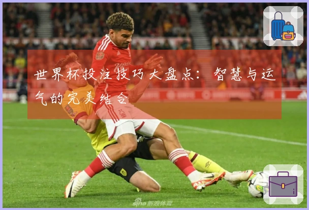 世界杯投注技巧大盘点：智慧与运气的完美结合