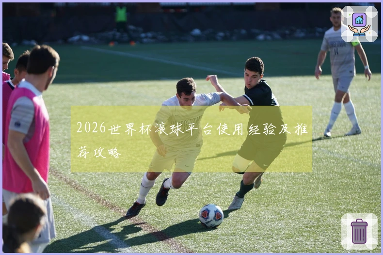 2026世界杯滚球平台使用经验及推荐攻略