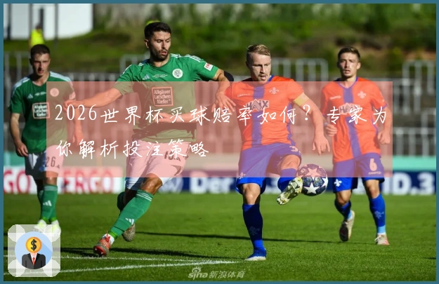 2026世界杯买球赔率如何？专家为你解析投注策略