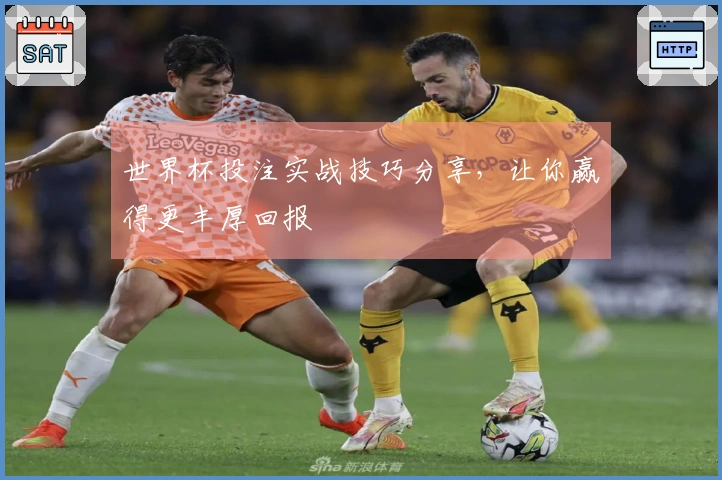 世界杯投注实战技巧分享，让你赢得更丰厚回报