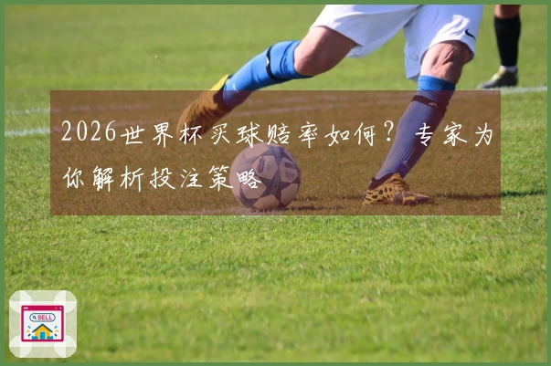 2026世界杯买球赔率如何？专家为你解析投注策略